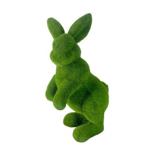 image-333c5a7d07df4c569df44ba4ca529b0e