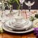 3441946000001-prato-fundo-flamingo-filete-prata-23-5cm-porcelana-oxford--1-