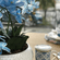 3605707400001-caneca-porcelana-super-white-tampa-filtro-lisboa-azul-310ml-lyor-1