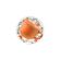 0344218500001-aparelho-jantar-cha-20-pecas-lirios-ceramica-biona-oxford--3-