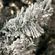 008180A0000ZW-arvore-de-natal-nevada-2-1m-970-galhos-plastico-metal-dcasa--2-