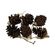 008180A00007X-jogo-pinha-6-pecas-bt01722-dcasa--1-