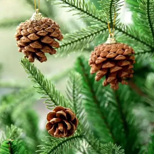 008180A00007X-jogo-pinha-6-pecas-bt01722-dcasa--2-