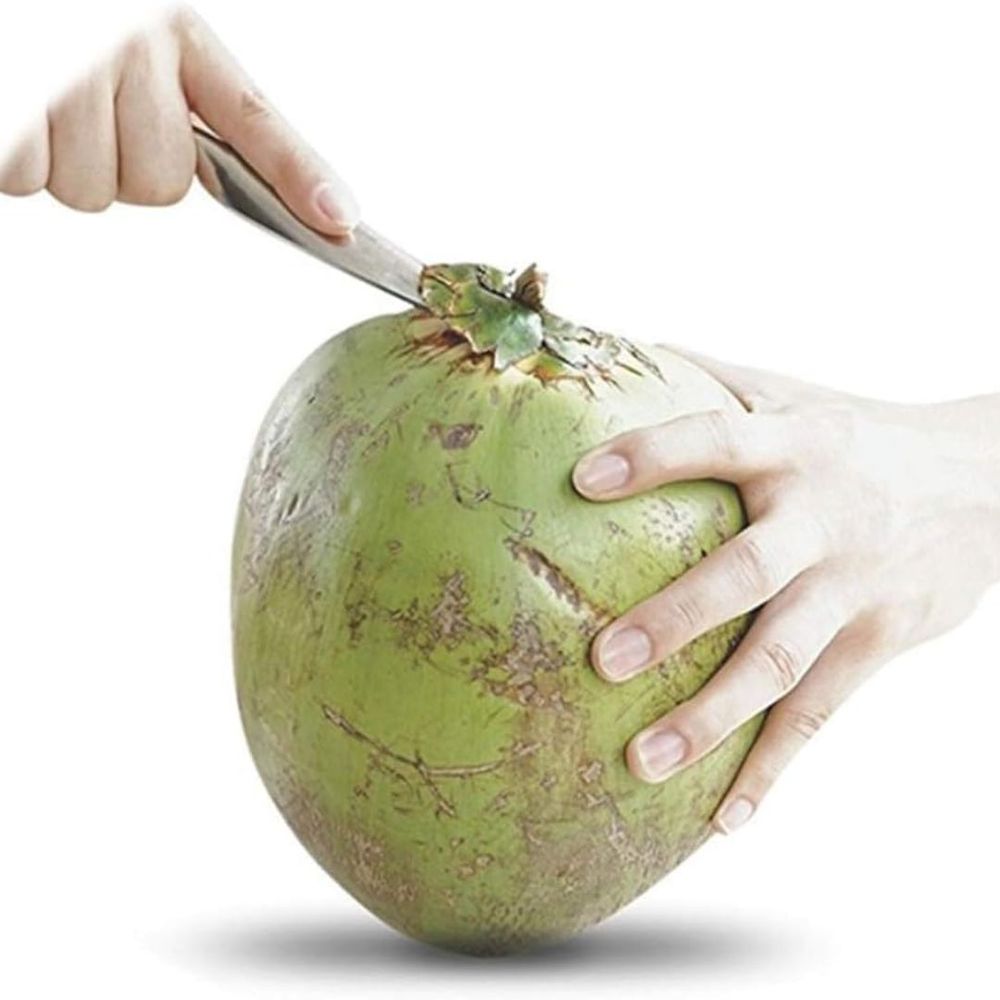 小物 coco Abridor de Coco 16cm Inox/Plástico DCasa Casa Freitas - Casa Freitas