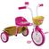 001108A000002-triciclo-infantil-princesas-nathor--1-
