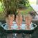 013559A00000K-jogo-6-tacas-vidro-ambar-400ml-dcasa--6-.jpg