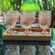 013559A000013-jogo-6-tacas-vidro-ambar-360ml-dcasa--3-.jpg