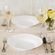 0020963000001-prato-fundo-menu-23cm-vidro-branco-nadir--3-