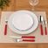 1279000600001-faqueiro-leme-inox-cabos-vermelho-20-pecas-tramontina--5-