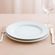 0021004300002-prato-raso-menu-31cm-vidro-nadir--1-