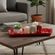3878003900001-bandeja-plastica-retangular-vermelha-uz209--3-