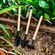 8180915900001-jogo-mini-ferramentas-jardim-3-pecas-madeira-metal-dcasa--1-